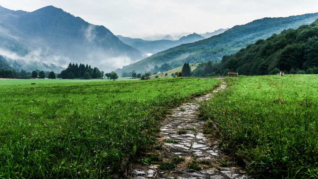 Pathway Lu15Z1M_Kfm