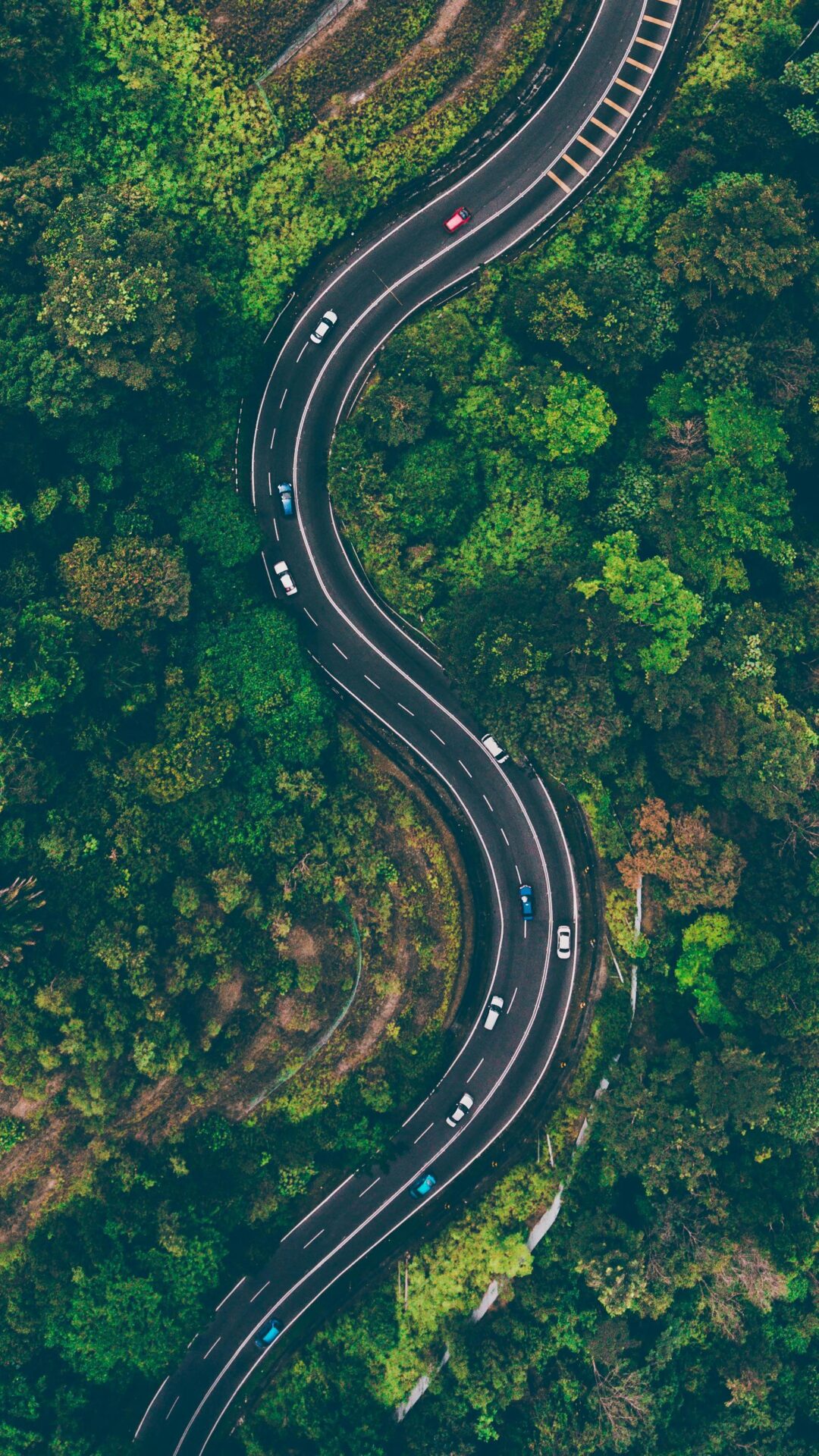 Pexels photo 1173777