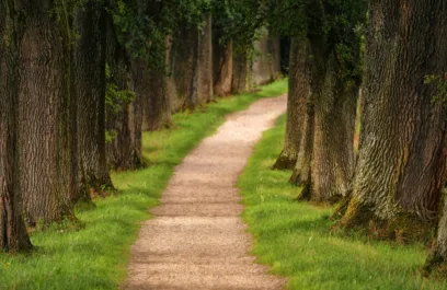 image for article:Depression Recovery: Practical Steps to Reclaim Your Life