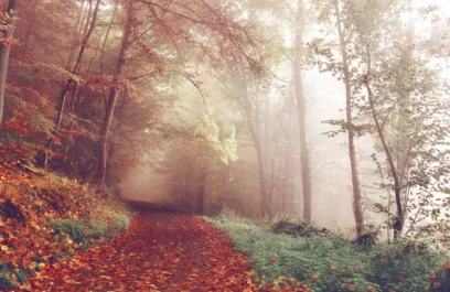 image for article: Embracing Anxiety and Depression as a Pathway to Healing