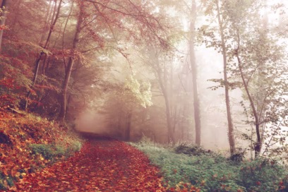 image for article Counselling for Long-Term Depression